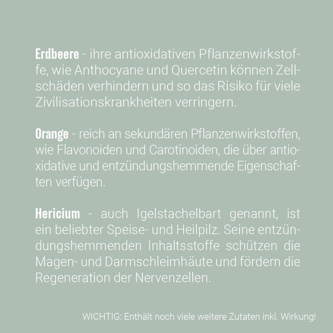 DTX SMOOTHIE PLUS - Erdbeere, Orange, Hericium