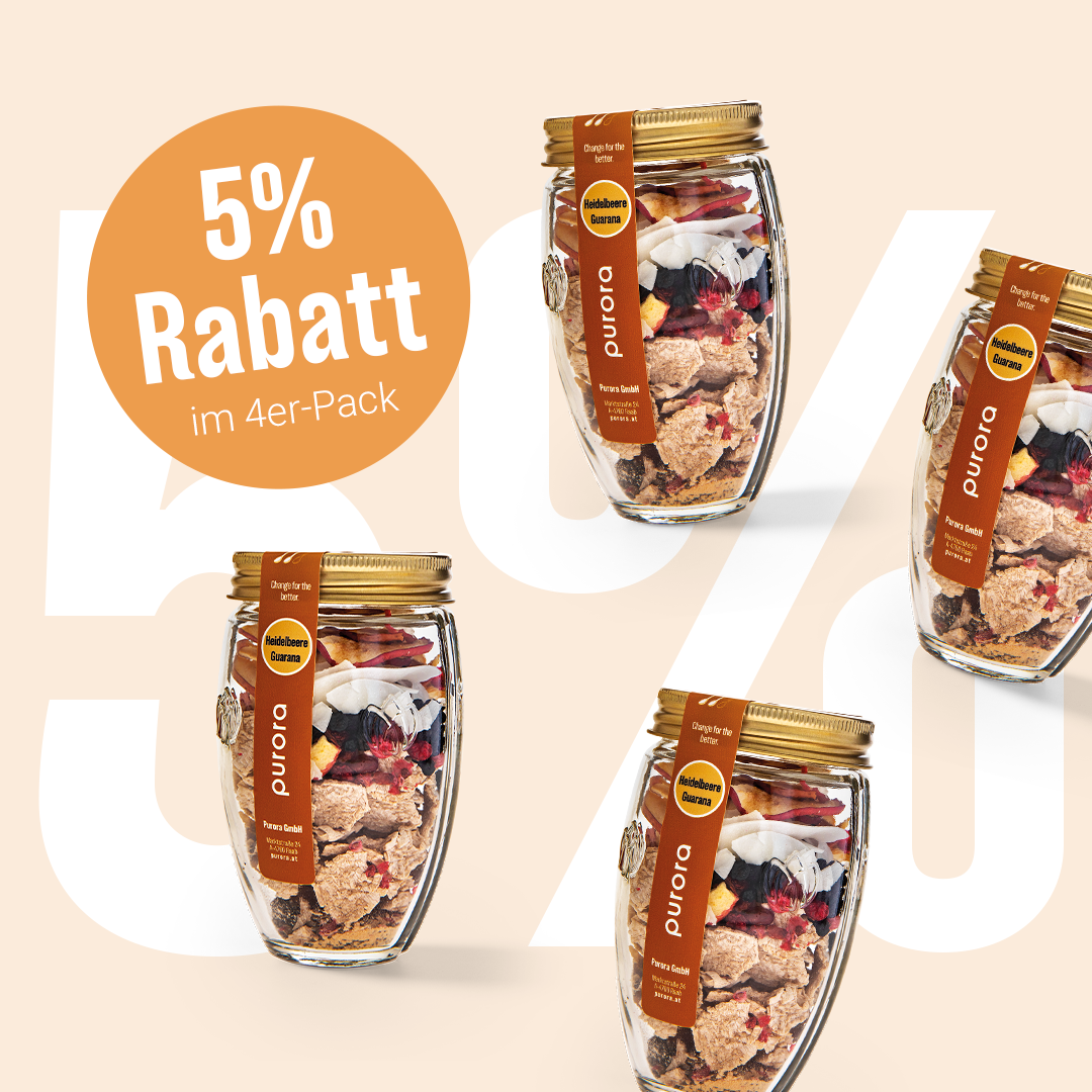 PORRIDGE PLUS - Wildheidelbeere, Apfel, Guarana