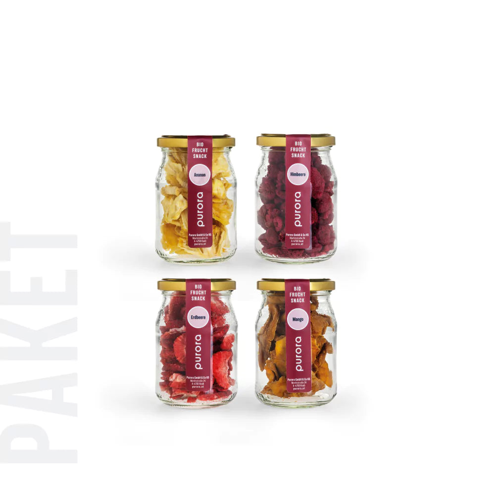 FRUCHT SNACK (4er Paket)
