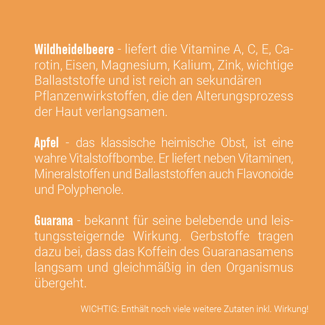 PORRIDGE PLUS - Wildheidelbeere, Apfel, Guarana