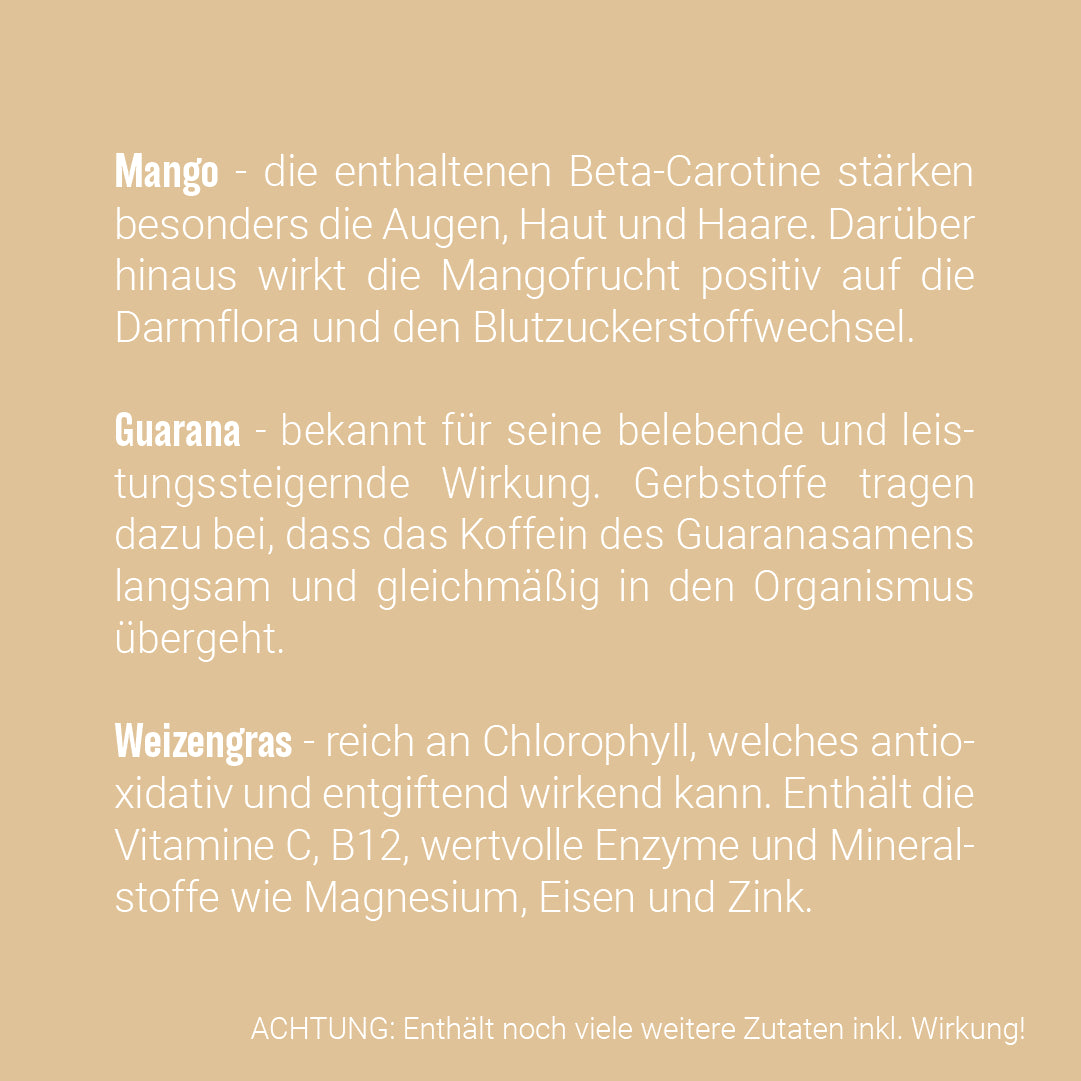 PROTEIN SHAKE PLUS - Mango, Guarana, Weizengras