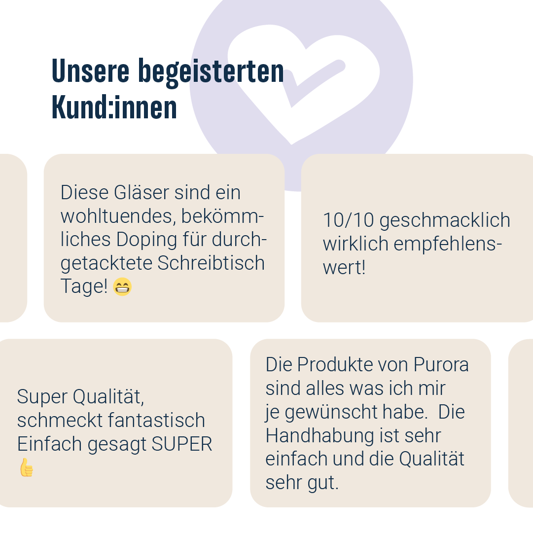 DTX SMOOTHIE PLUS - Wildheidelbeere, Spirulina, Dulse Alge