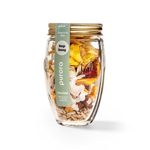 SMOOTHIE PLUS - Mango, Kokos, Ginseng
