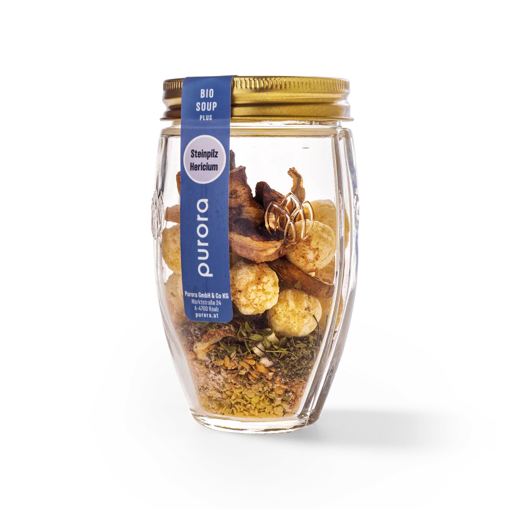 AKTION | SOUP PLUS - Steinpilz, Shiitake, Hericium