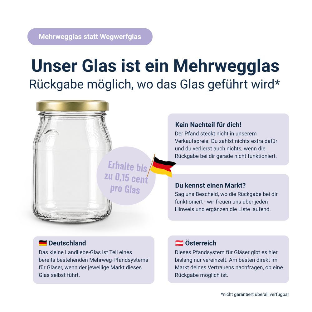 DTX SMOOTHIE PLUS - Wildheidelbeere, Spirulina, Dulse Alge