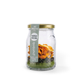 DTX SMOOTHIE PLUS - Wildheidelbeere, Spirulina, Dulse Alge