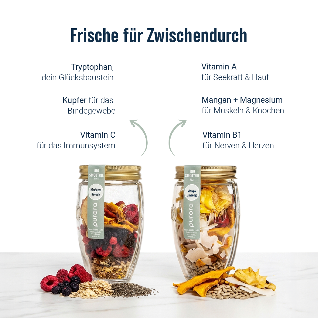 Starter Spotlight Paket