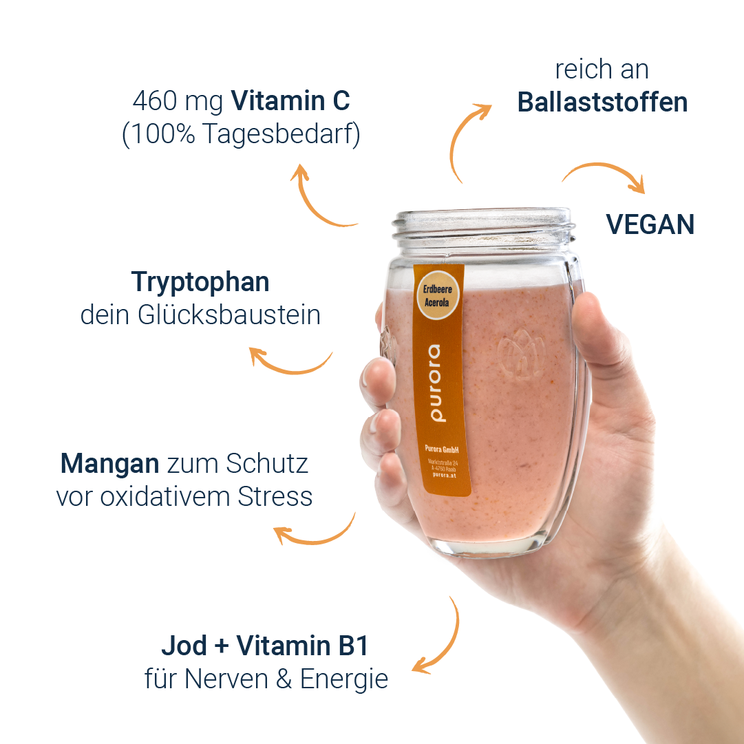 PORRIDGE PLUS - Erdbeere, Kokos, Acerola