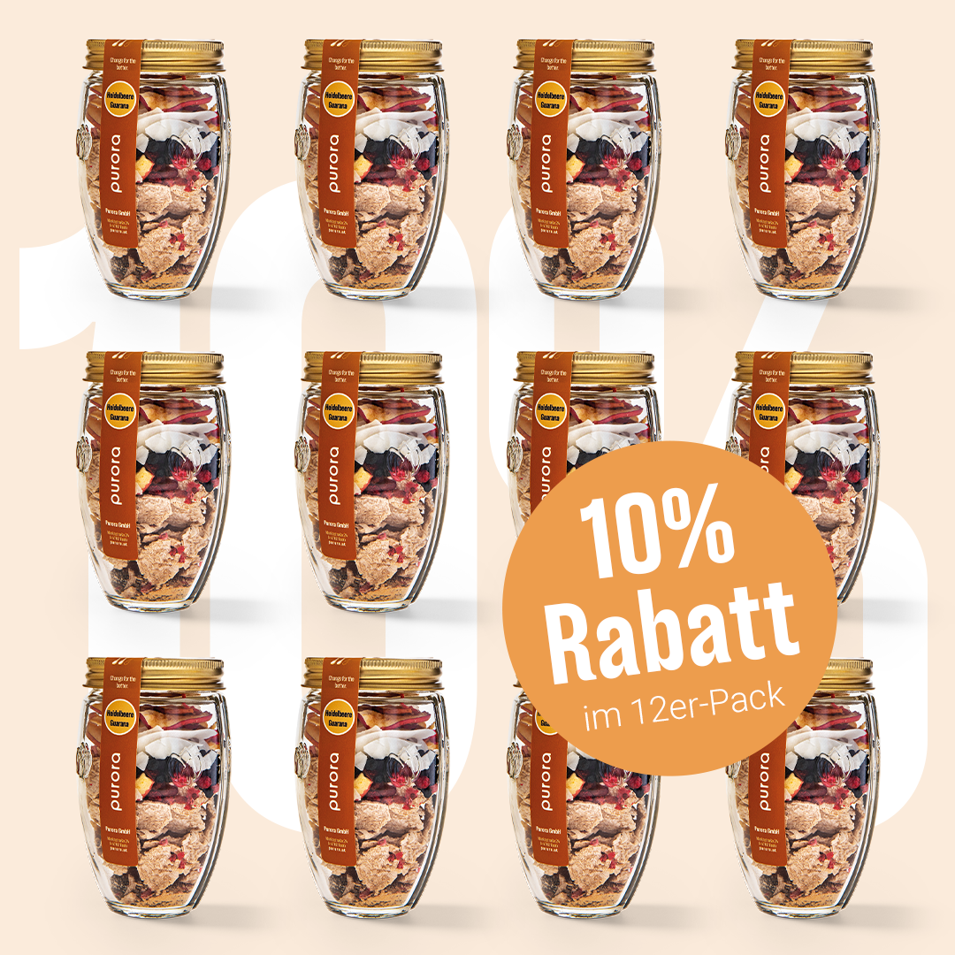 PORRIDGE PLUS - Wildheidelbeere, Apfel, Guarana