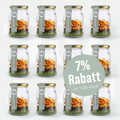 DTX SMOOTHIE PLUS - Wildheidelbeere, Spirulina, Dulse Alge