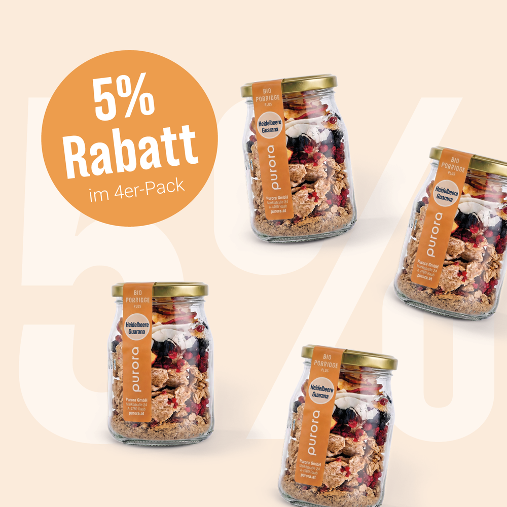  PORRIDGE PLUS - Wildheidelbeere, Apfel, Guarana