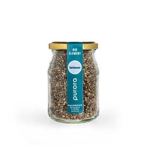 Keimlinge - Hanfsamen gekeimt