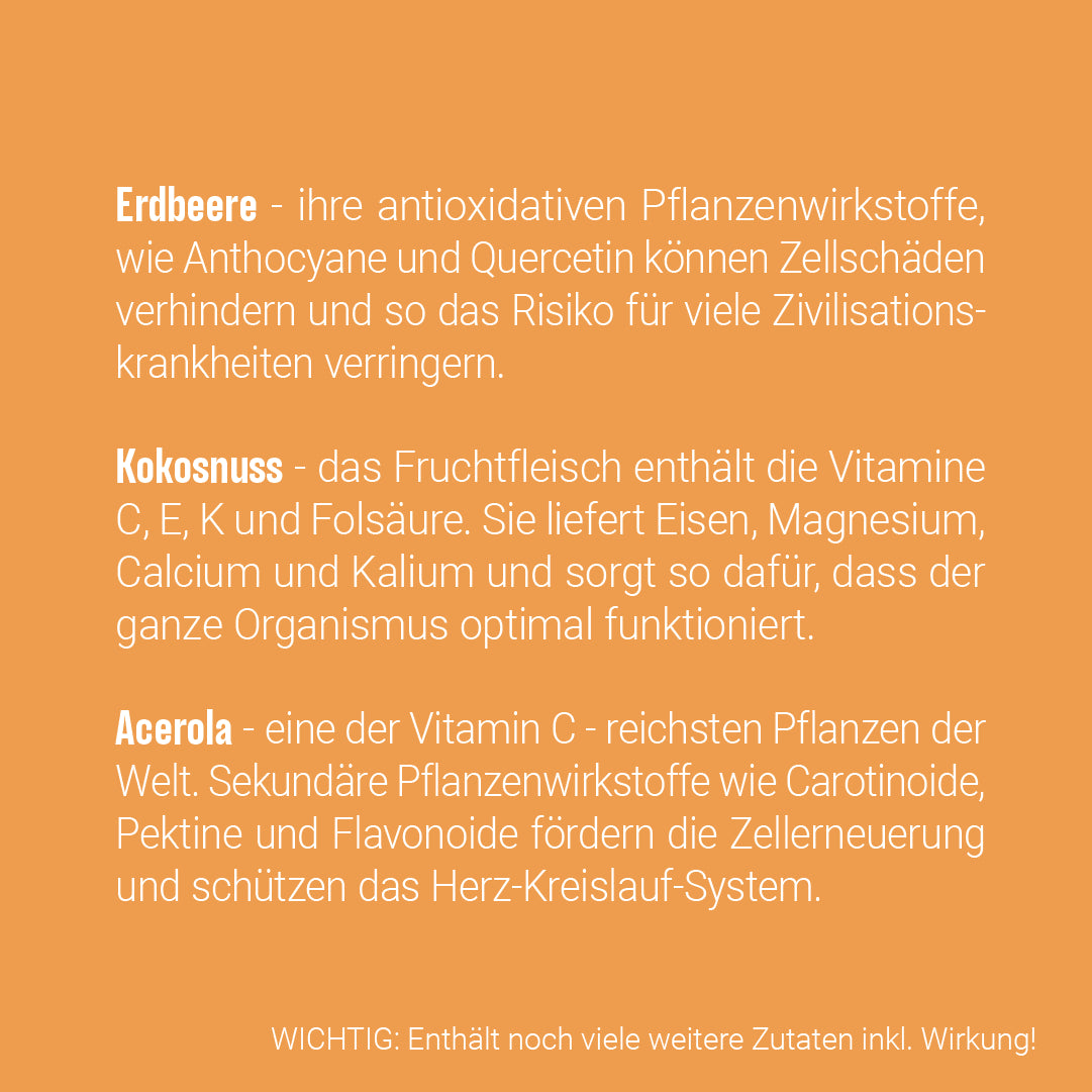 PORRIDGE PLUS - Erdbeere, Kokos, Acerola