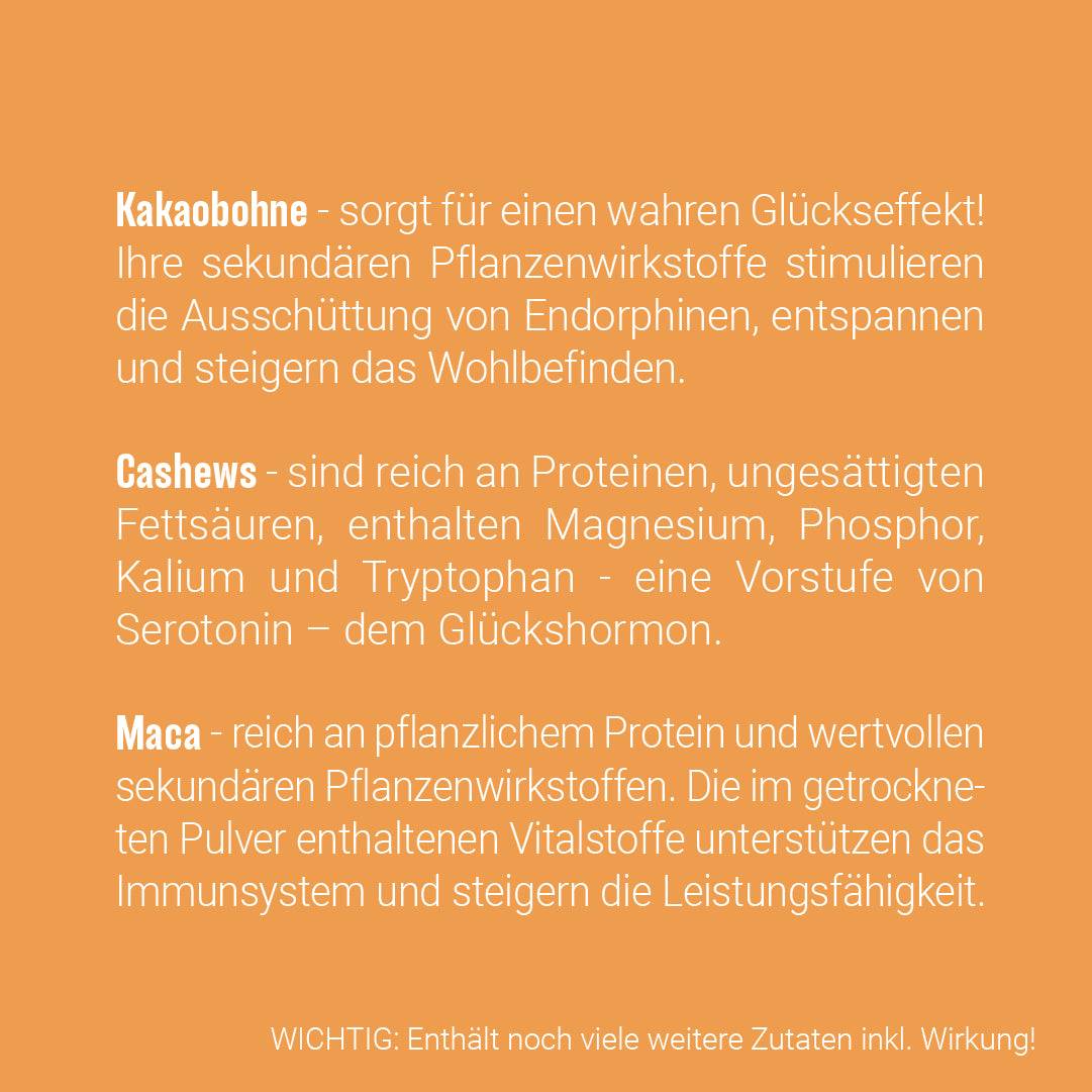 PORRIDGE PLUS - Schoko, Cashew, Maca