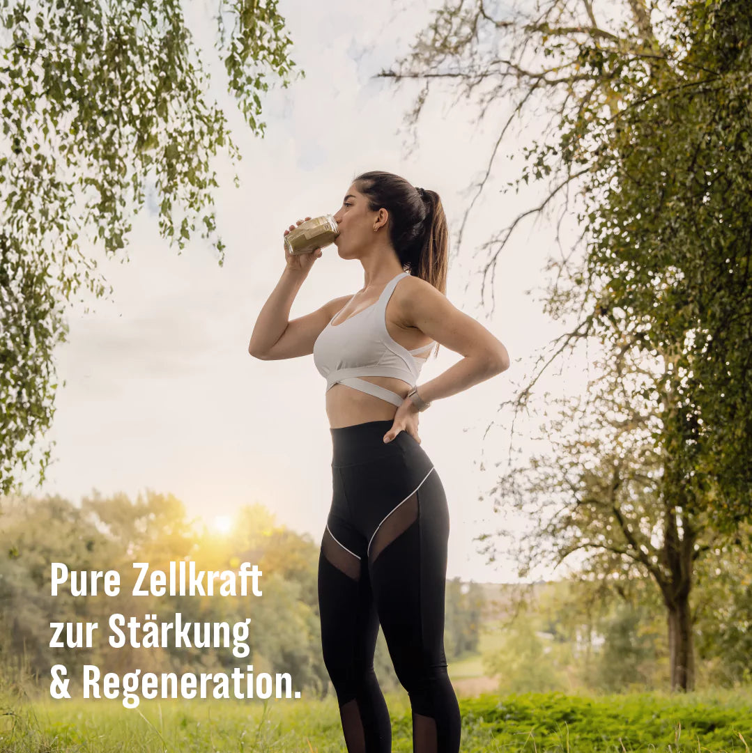 PROTEIN SHAKE PLUS - Ananas, Leinsamen, Maca