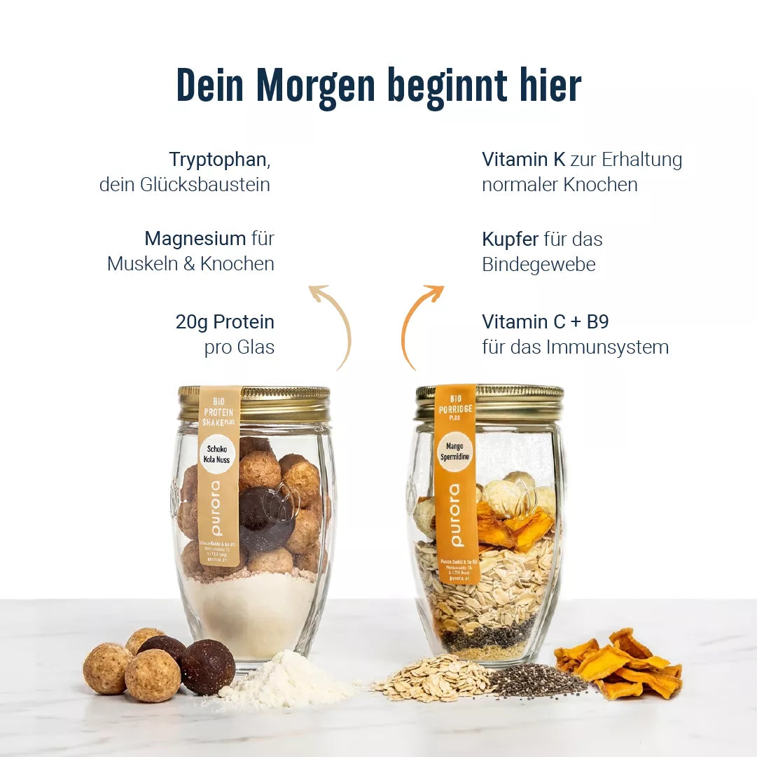 Starter Spotlight Paket